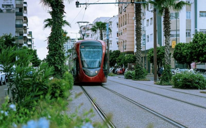 Avenue avec tramway, mâts et mobilier urbain